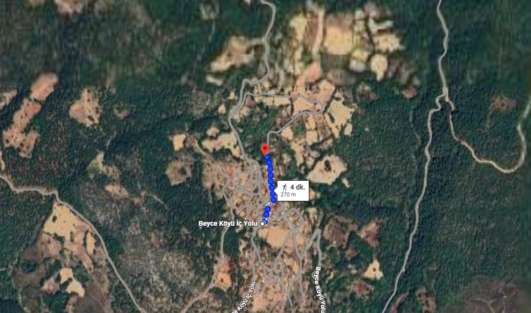 BALIKESİR DURSUNBEY BEYCE KÖYÜMÜZDE 216.93 M² BAHÇEMİZ SATILIKTIR. - BALIKESİR DURSUNBEY fotoğraf 3